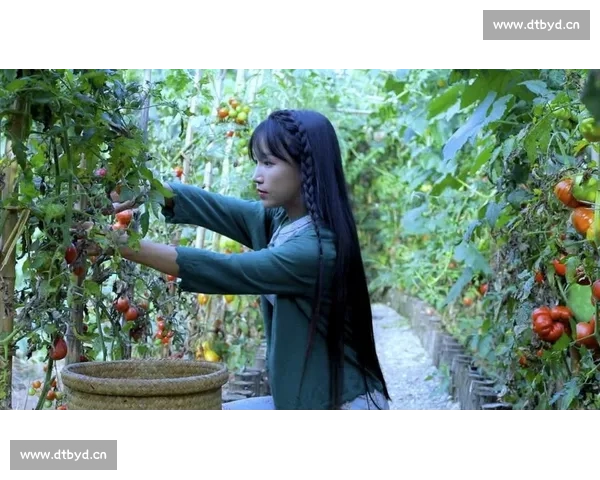 李子柒：从田园生活到全球文化传播的美丽蜕变之路